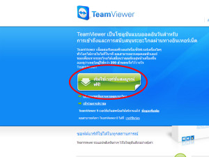 team viewer