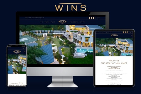 วินส์ แอสเสท